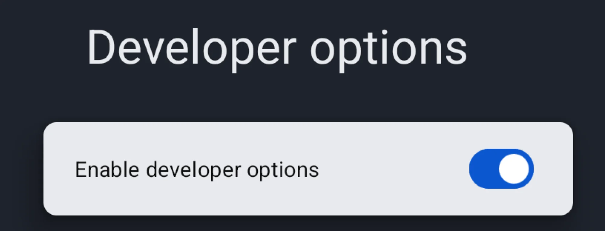 a screenshot showing the developer options toggle