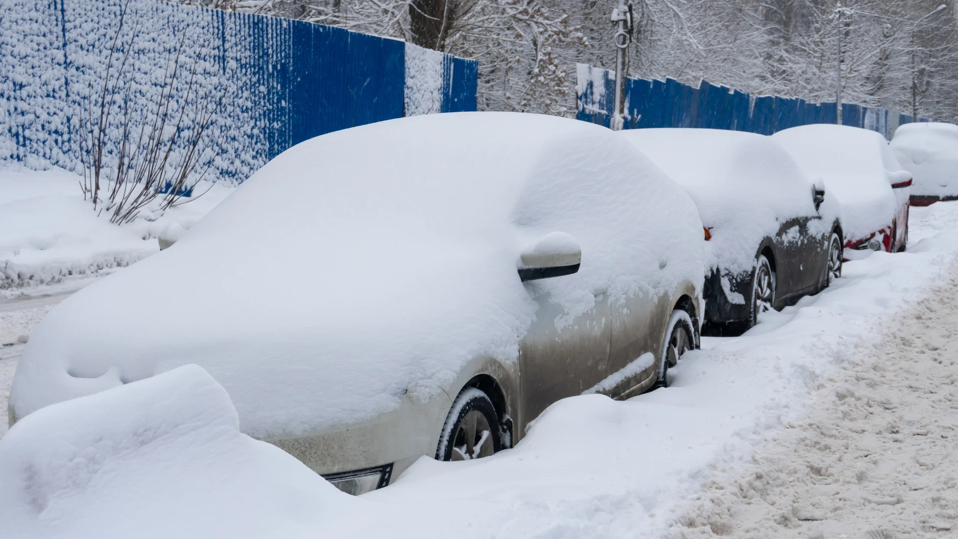 Nine Essential Products for Digging Your Car Out of the Snow