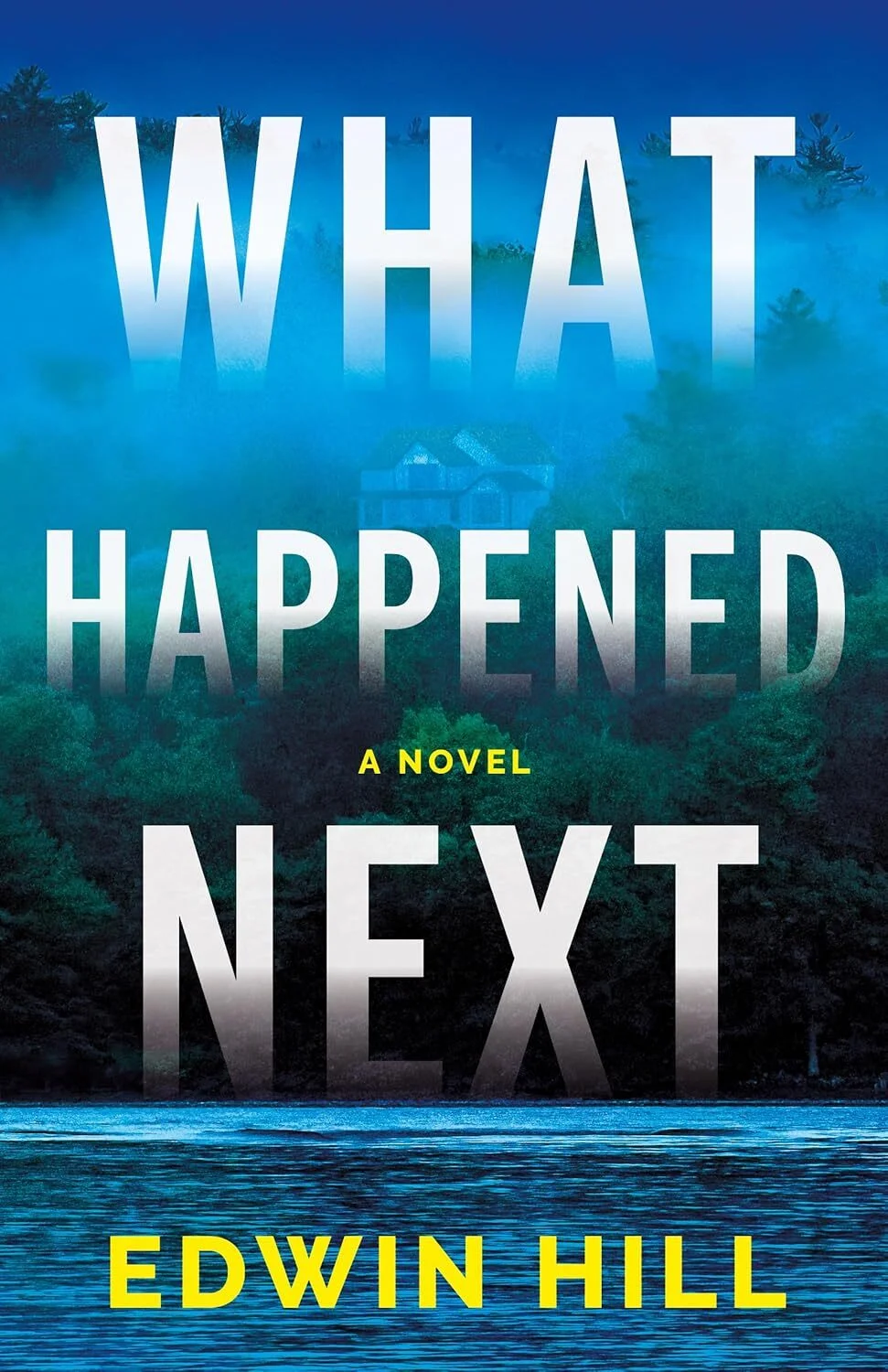 What Happened Next: A Novel