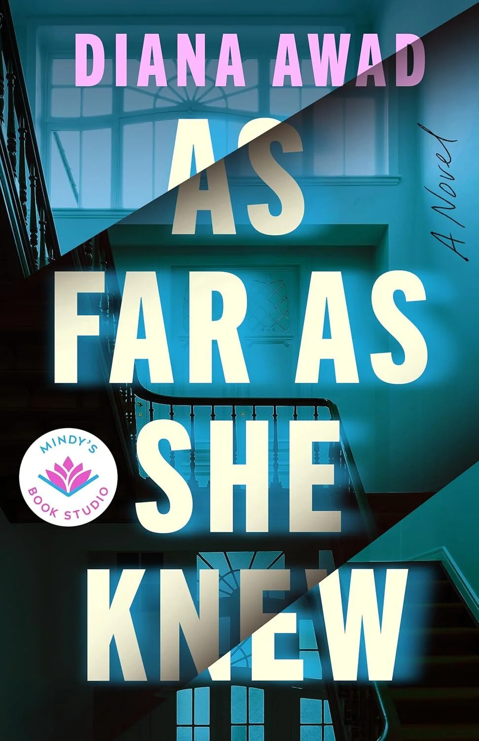 As Far as She Knew: A Novel