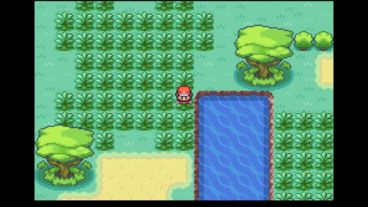 The grassy safari zone