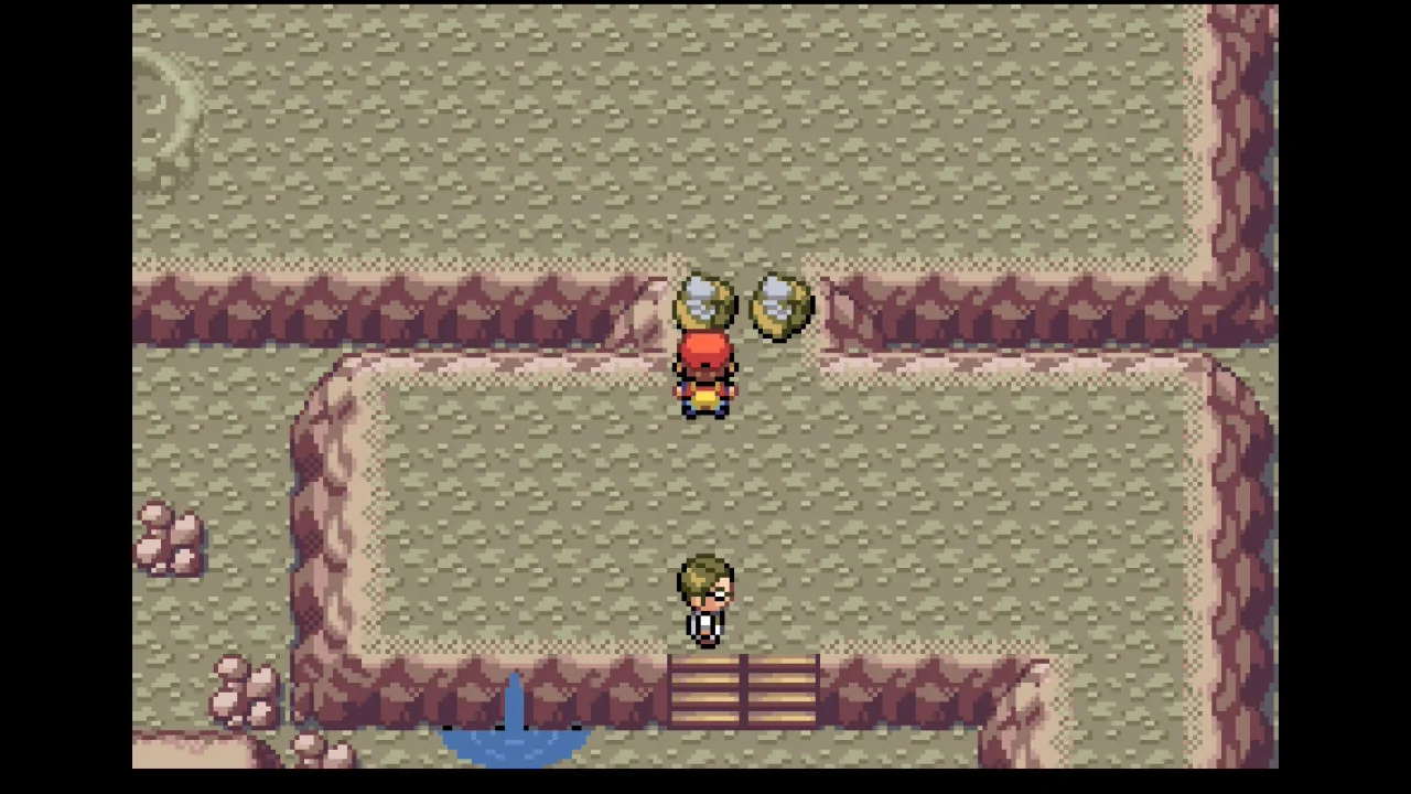 The fossils in Mt Moon